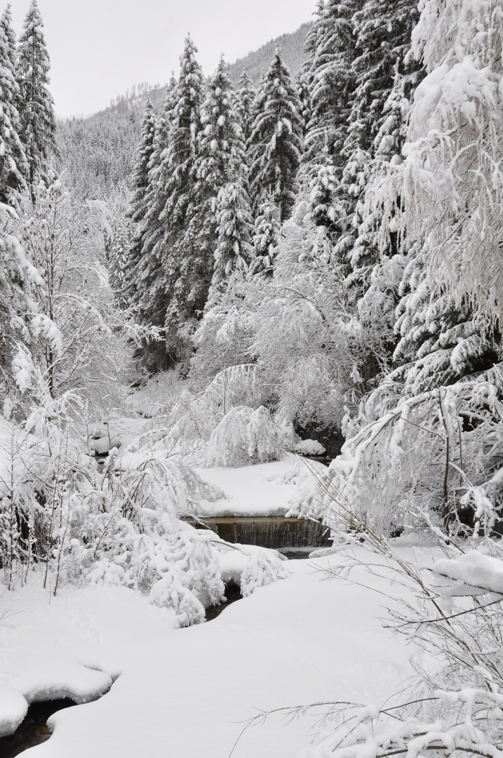 Osterreich Rangersdorf Marz 2016 Foto Bild Jahreszeiten Winter Natur Bilder Auf Fotocommunity