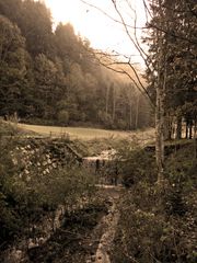 Österreich - Steiermark - Espang - Herbstimpression