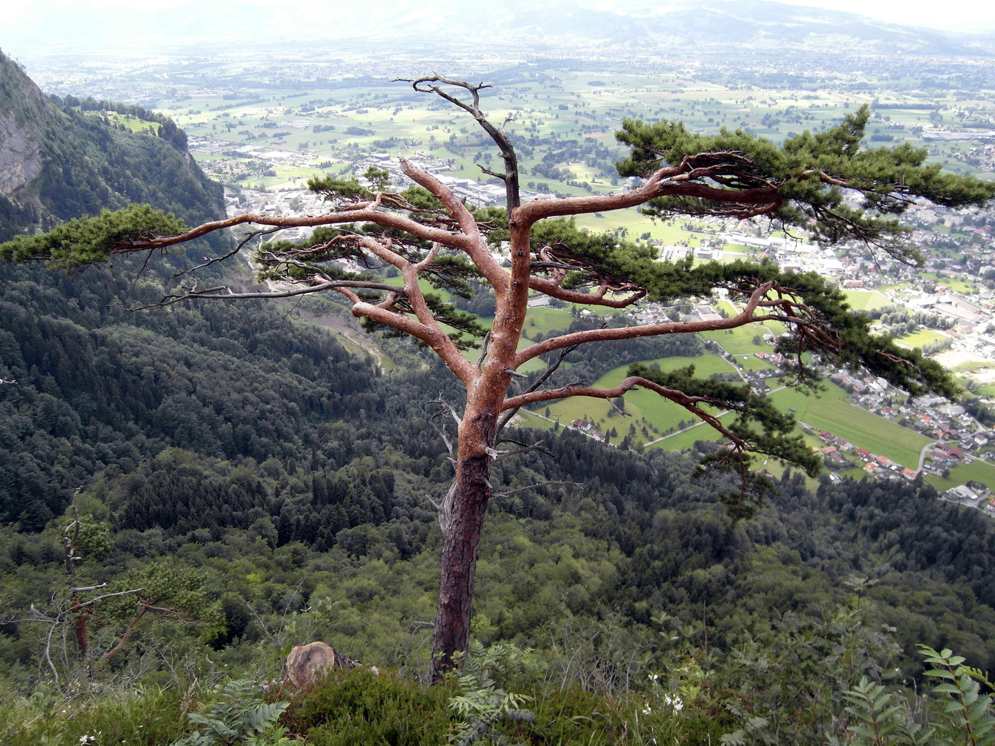 Österreich Vorarlberg