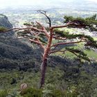 Österreich Vorarlberg