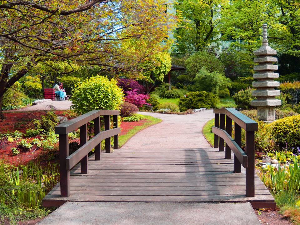 Österreich - Wien - Satagaya Park