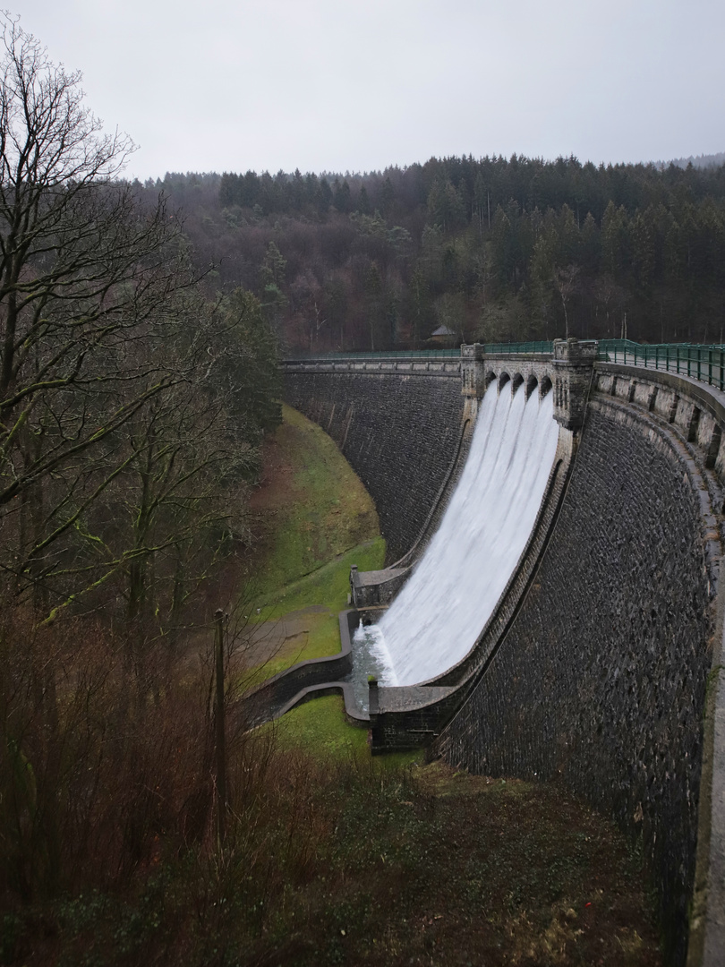 Oestertalsperre (2019_01_17_EOS 6D Mark II_9805_ji)