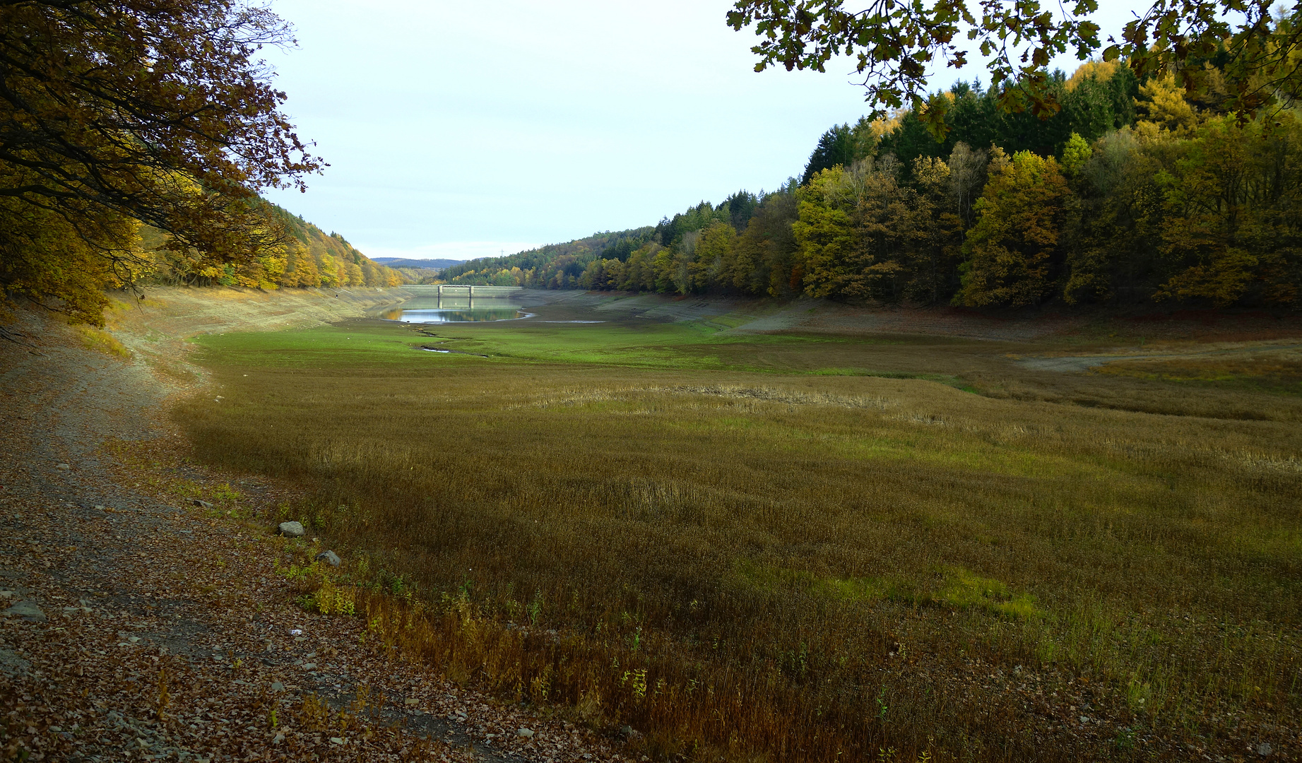 Oestertalsperre nach Trockenperiode