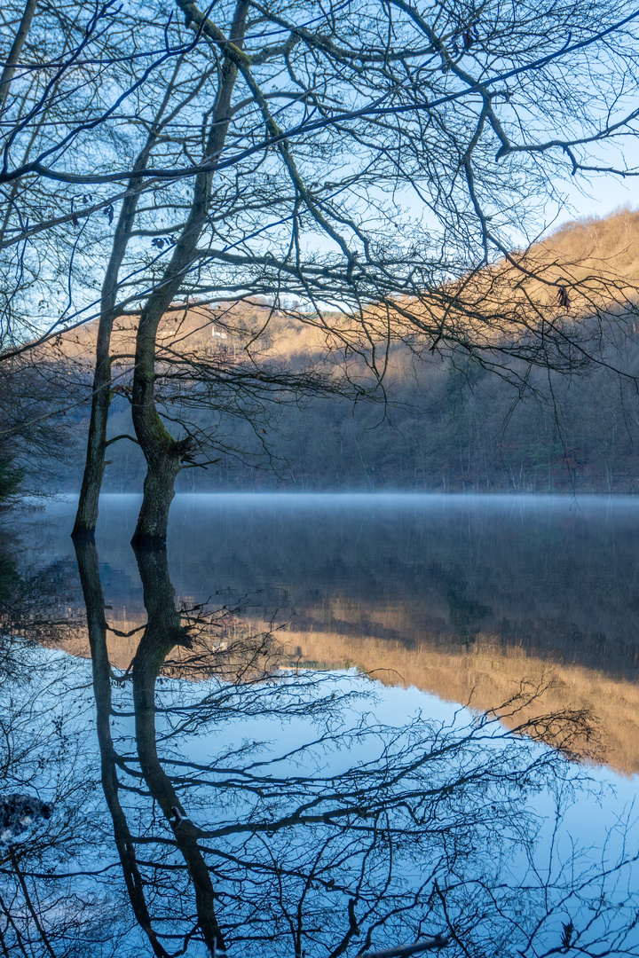 Östertalsperre Spiegelung im Nebel