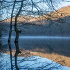 Östertalsperre Spiegelung im Nebel