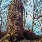 Östlicher Bergfried der Lauenburg 1982