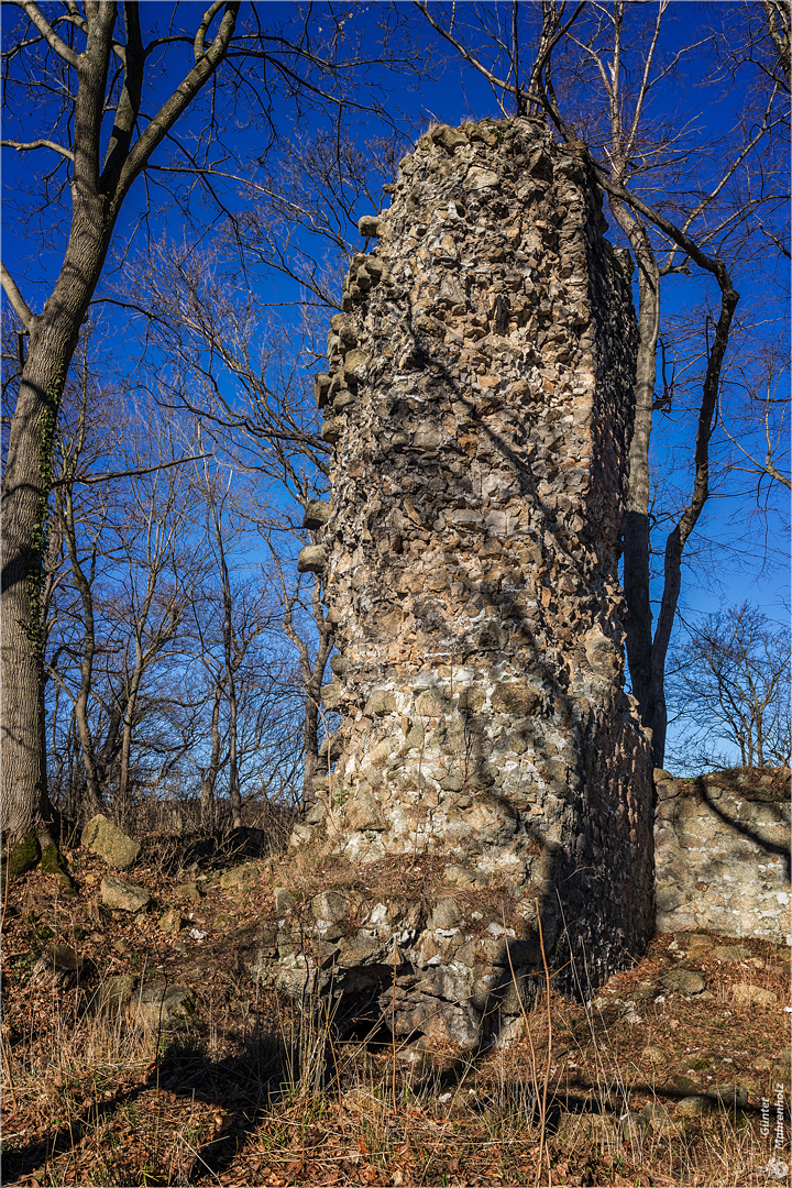 Östlicher Bergfried der Lauenburg