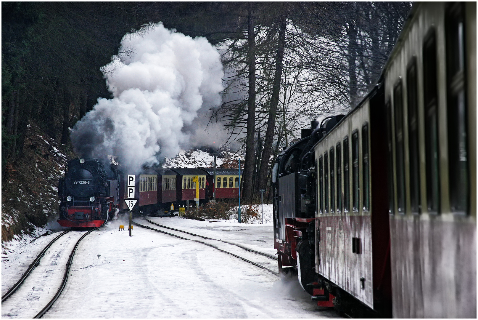 Östlicher Winter CLXXXII