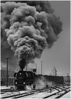 Östlicher Winter CX