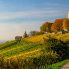 Ötlingen im Herbst