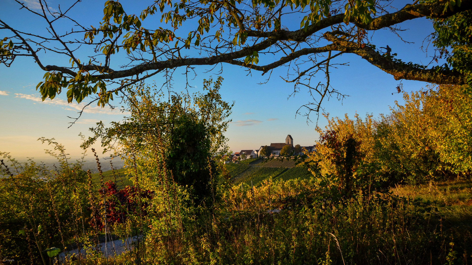 Ötlingen in herbstlichem Rahmen