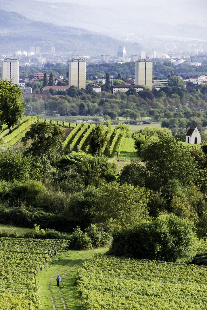 Ötlinger Weinberg