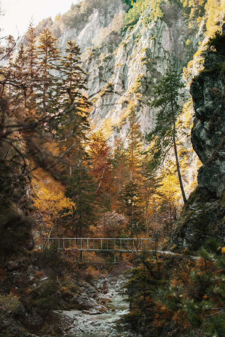 +++Ötschergräben im Herbst+++