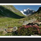 Ötztaler Alpen ....