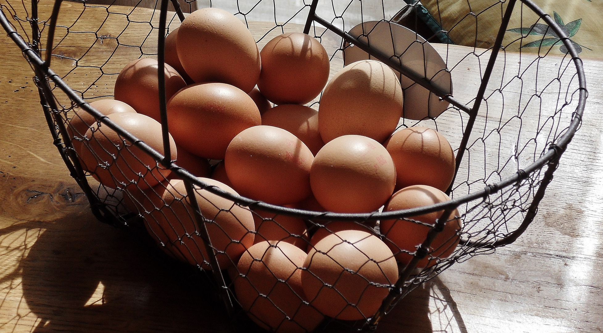 Oeufs dans le même panier.....!