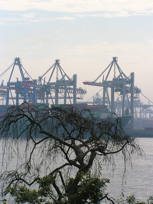 Oevelgönne - Ein Dorf am Hafen