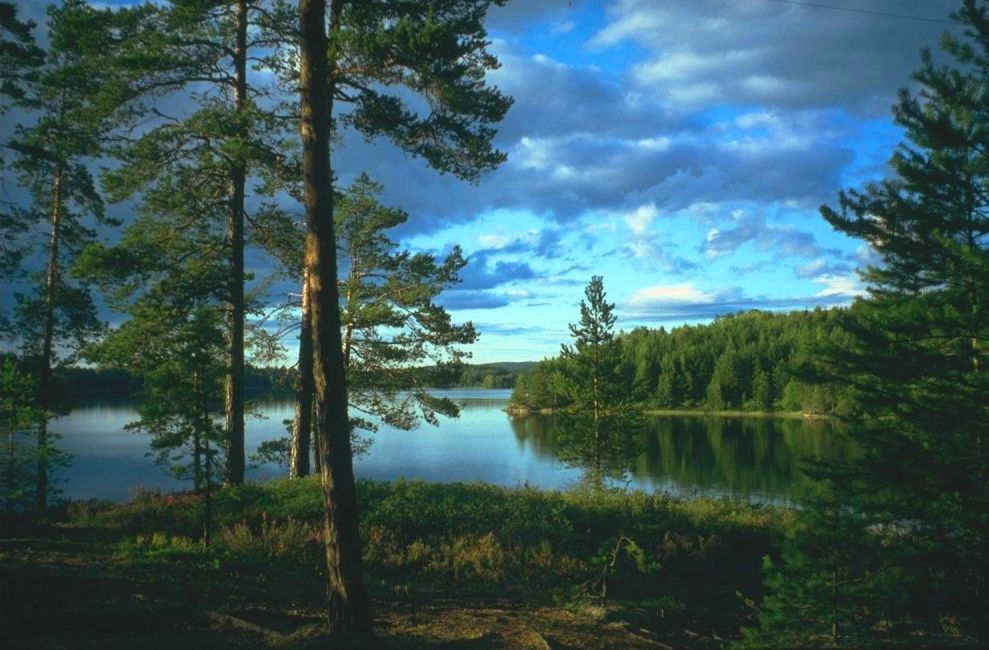 Övre Blomsjön