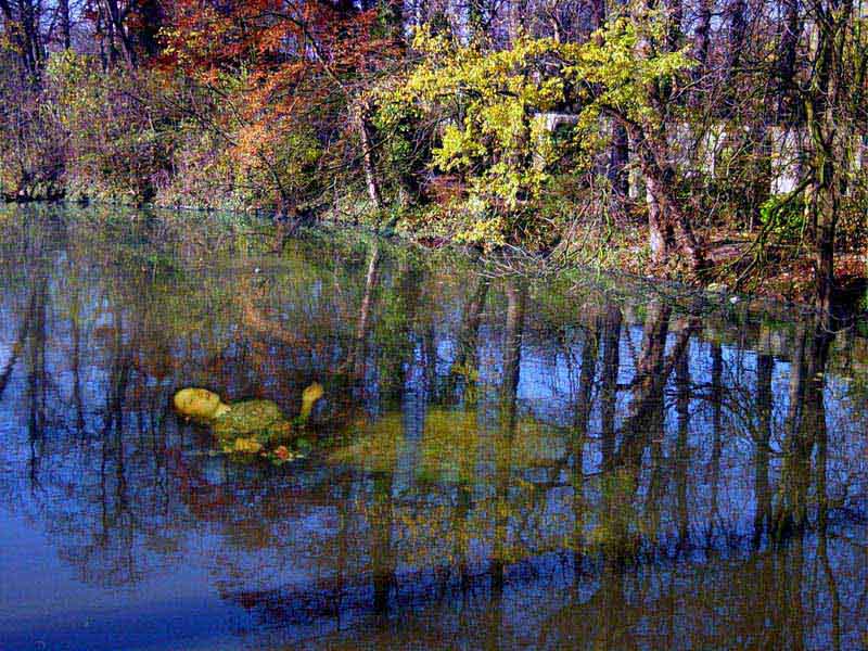 Ofelia en Brujas