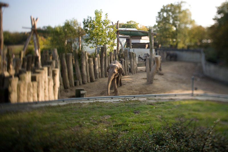 OFF-TIME im Allwetterzoo II