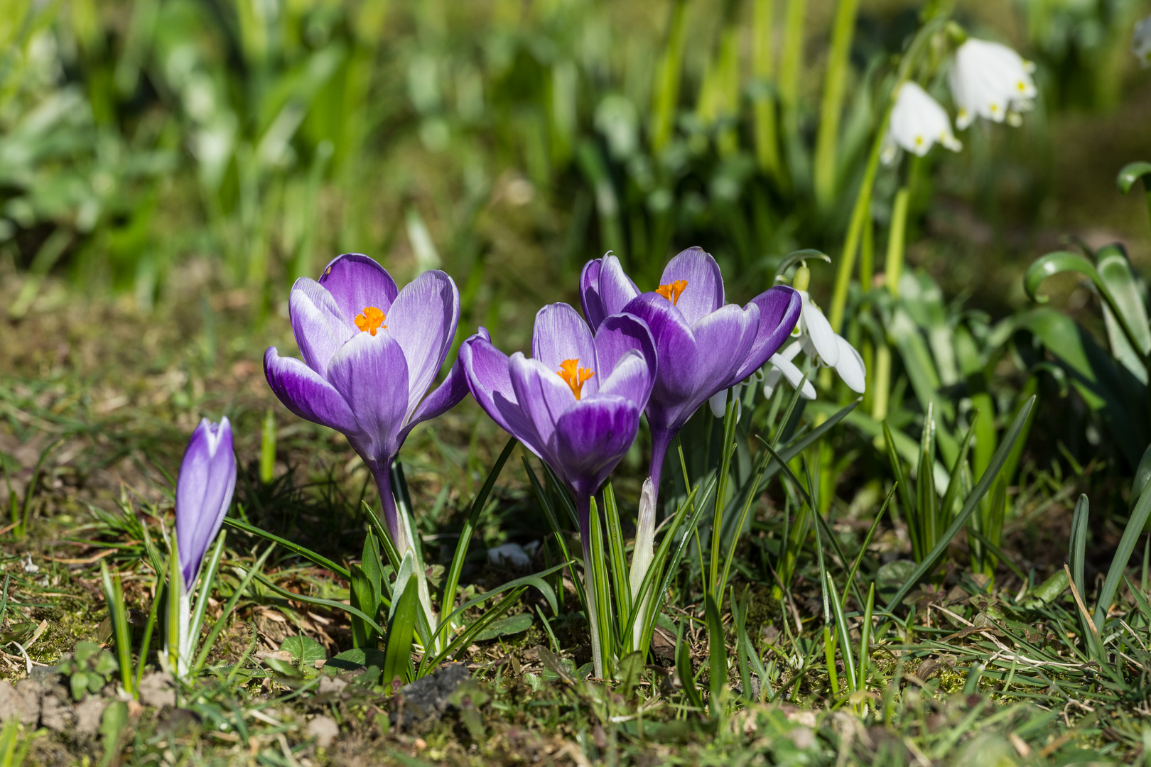 Offen für alles - besonders für die Sonne!