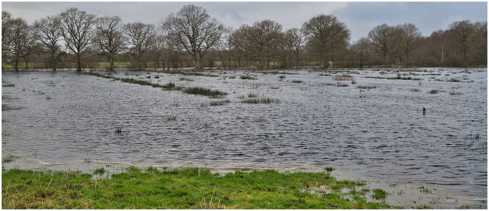 Offenauer "Seenplatte"