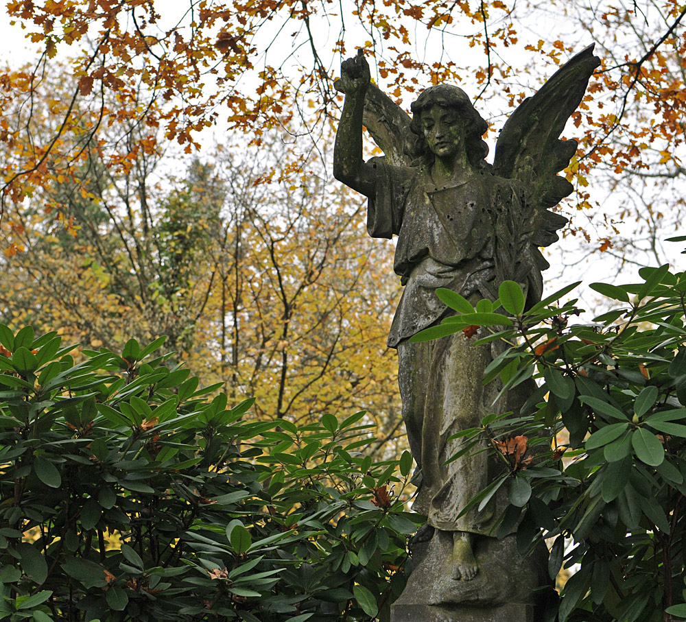 Offenbach: Alter Friedhof – Der Rhododendron – Engel