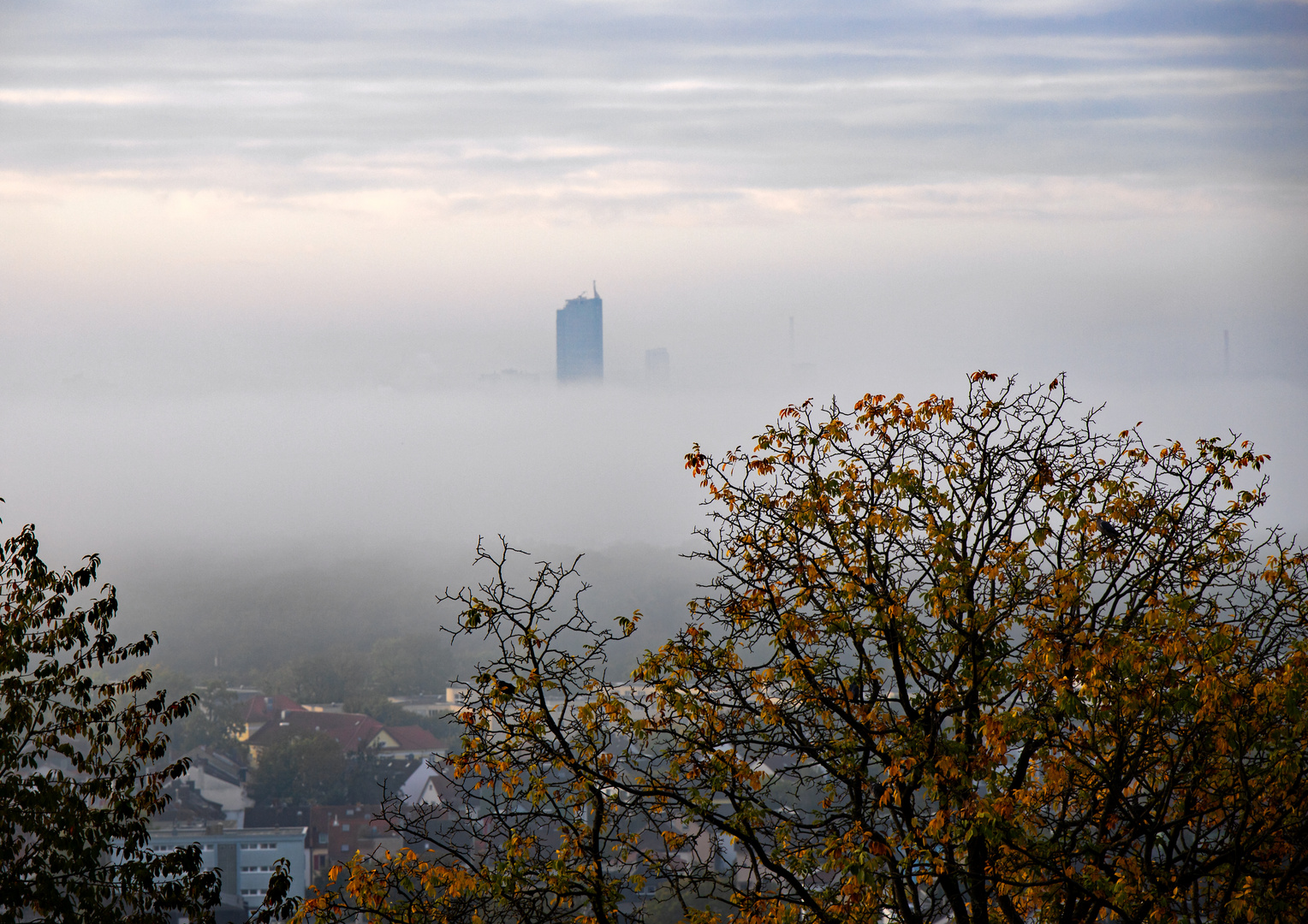 Offenbach im Nebel