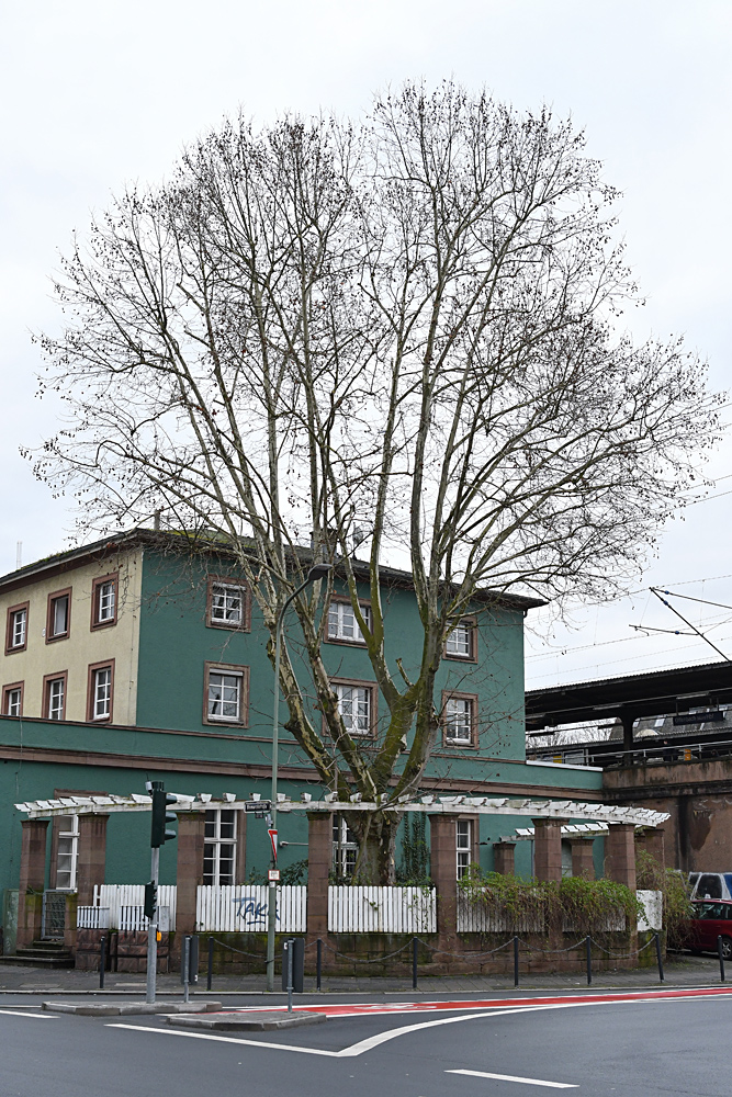 Offenbach/Main, Hauptbahnhof: Der vermüllte Biergarten 01