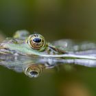 Offene Augen mit offener Blende f/2.8