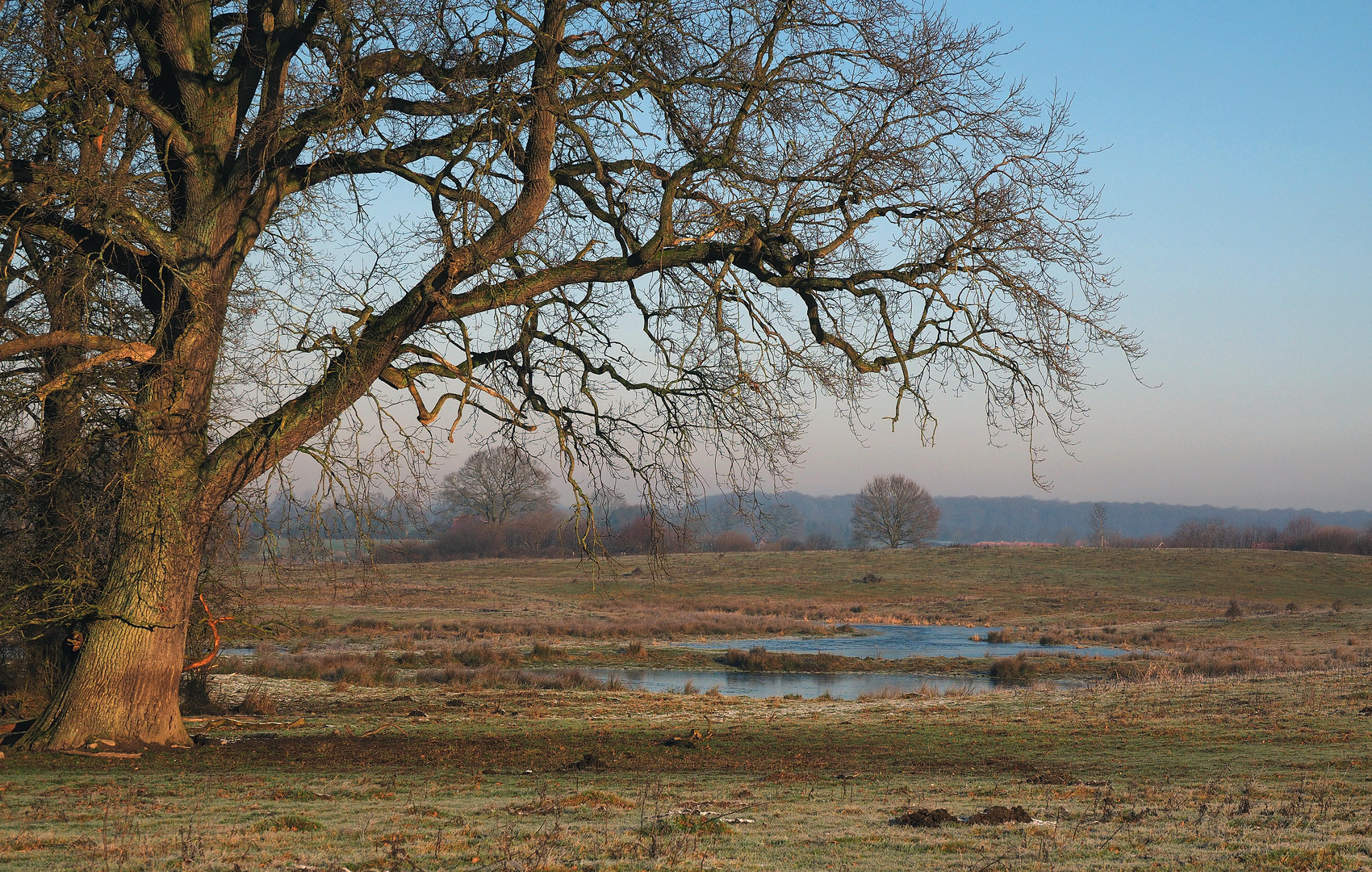 Offene Weidelandschaft Stodthagen