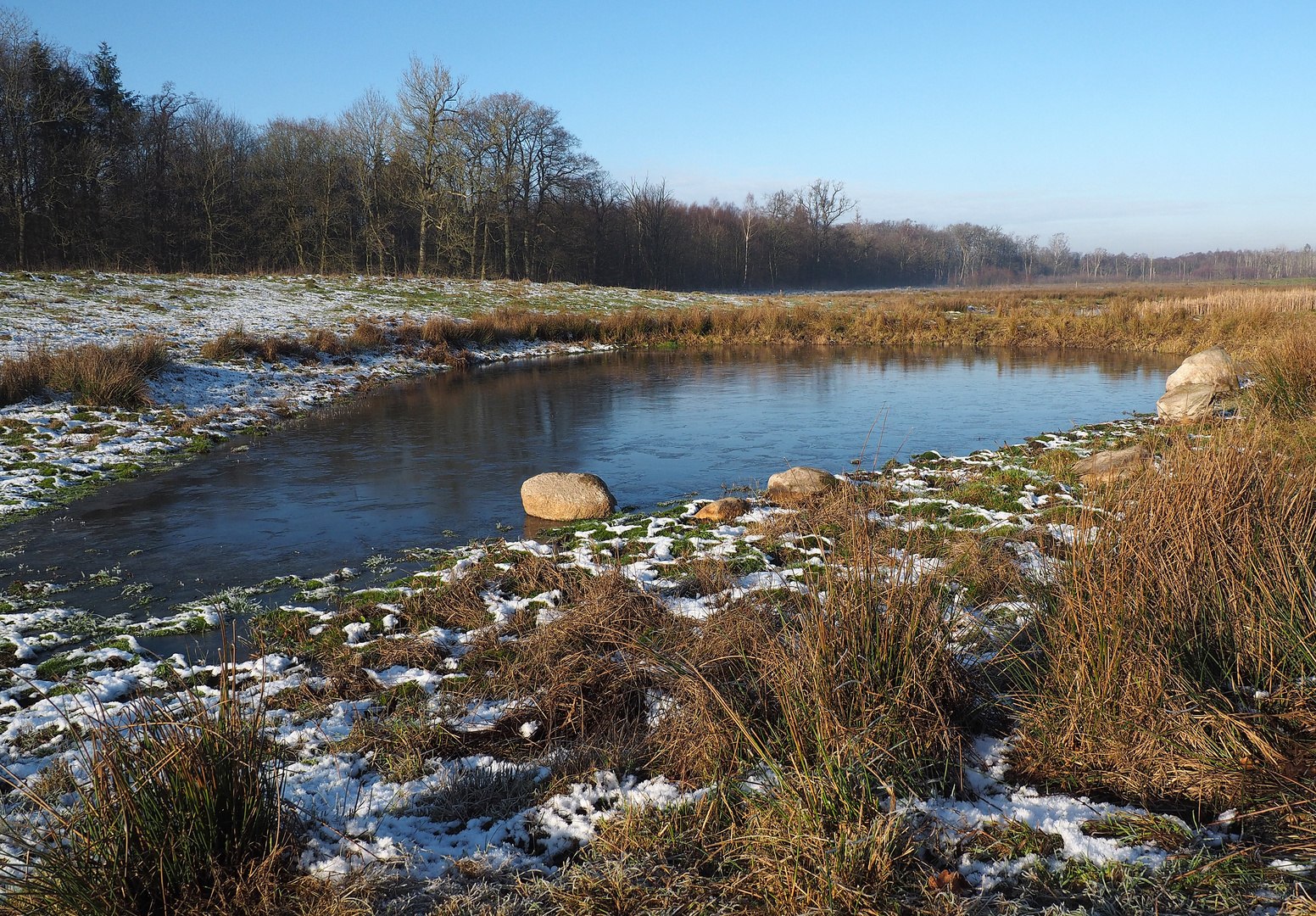 Offene Weidelandschaft Stodthagen_2