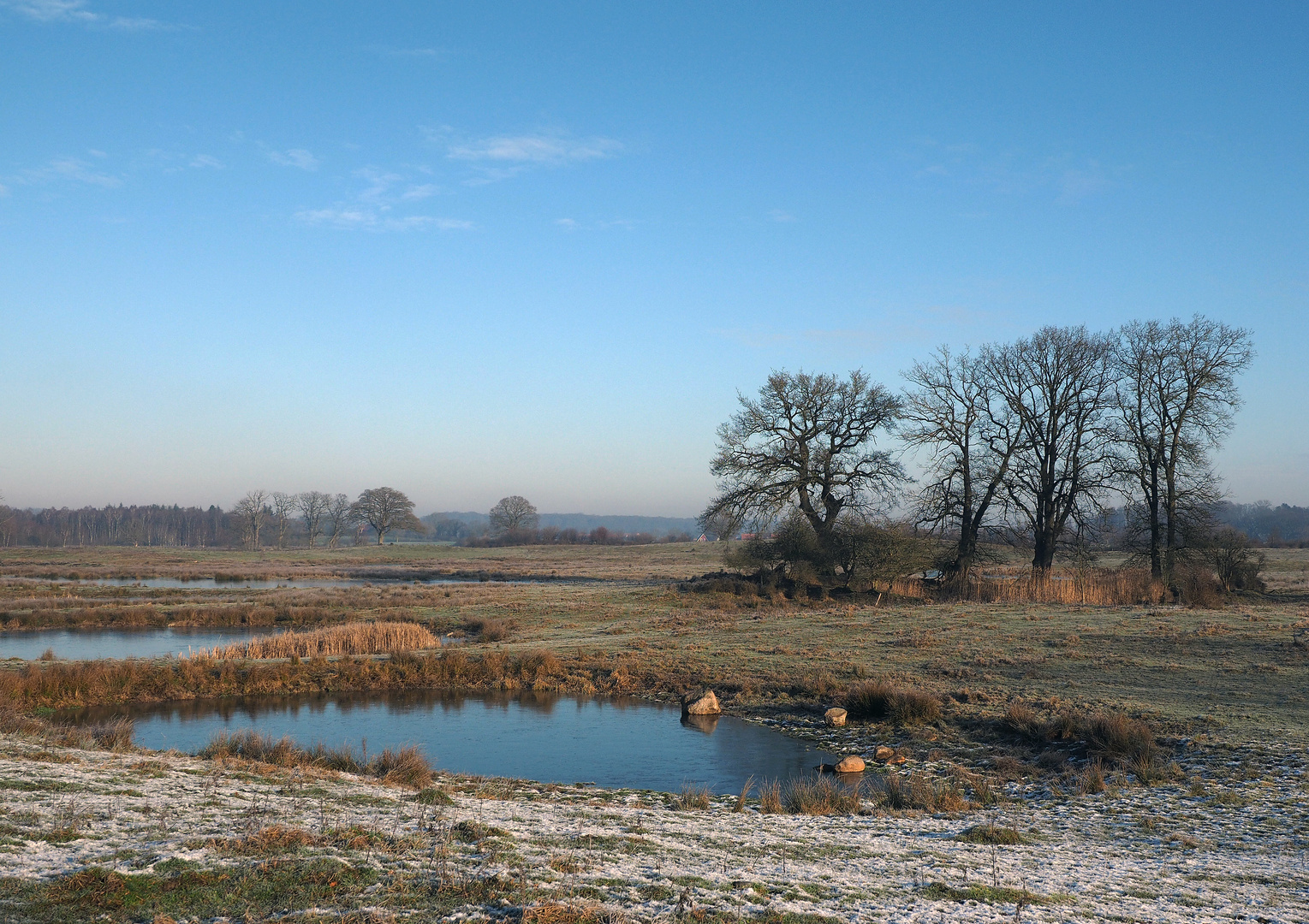 Offene Weidelandschaft Stodthagen_3