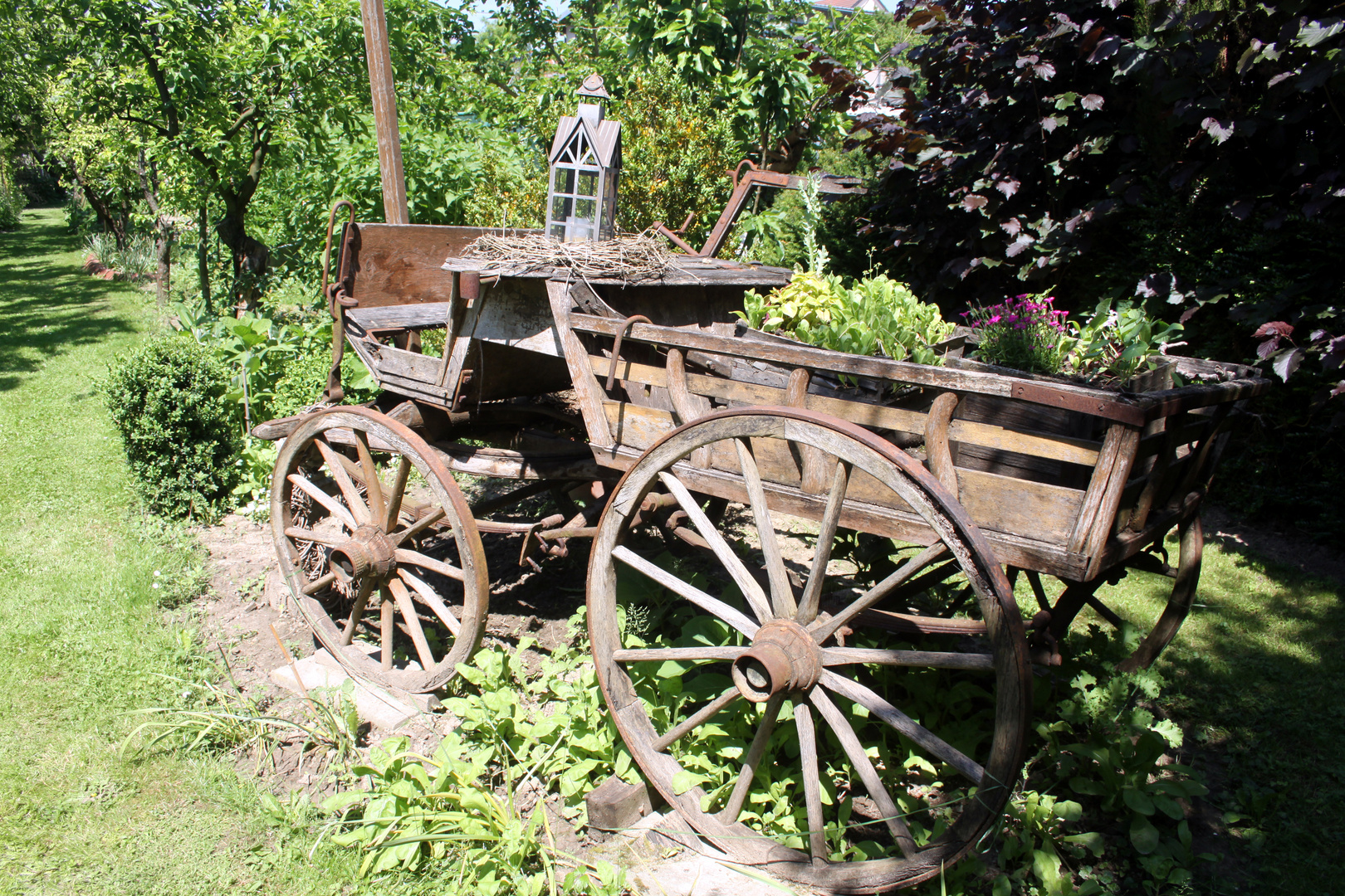 offener Garten am Kaiserstuhl, Open Garden, Jardin Ouvert, Bild Nr. 010