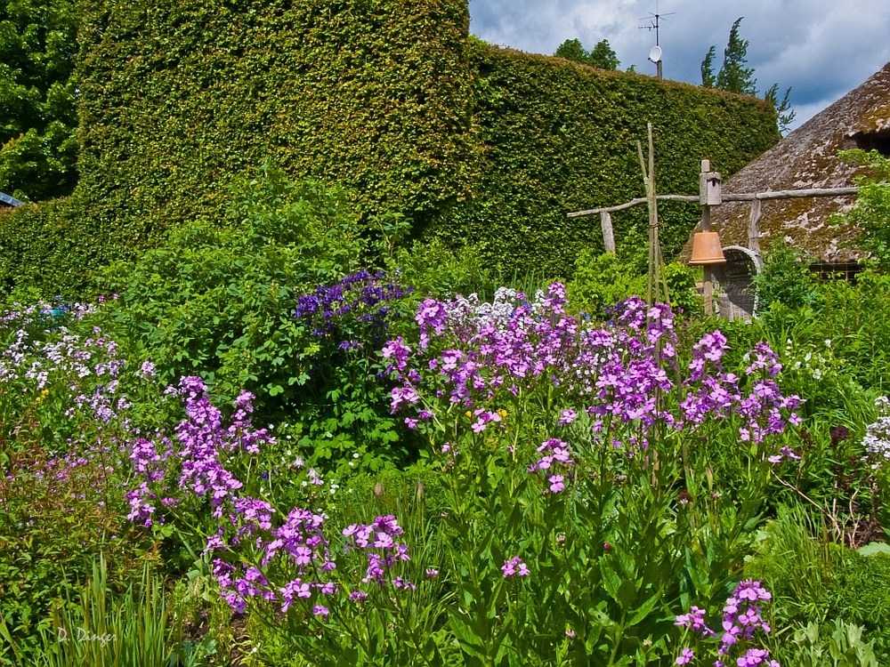 "Offener Garten"