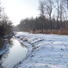 Offener Winterwald in Vorpommern