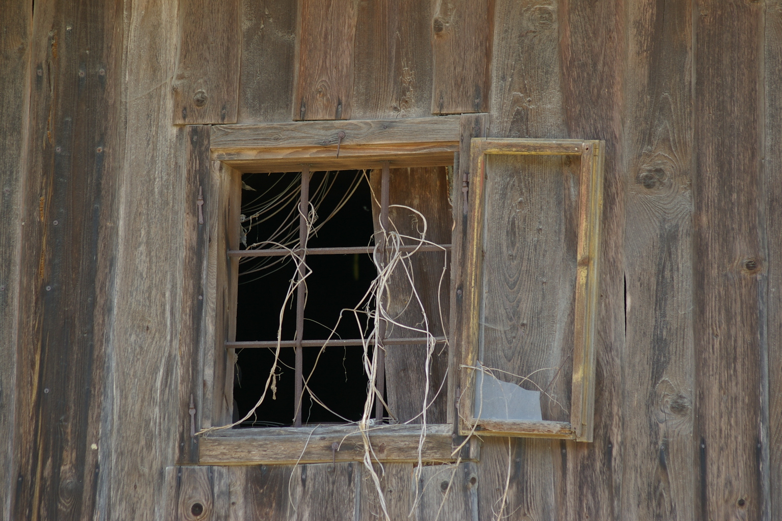 Offenes Fenster