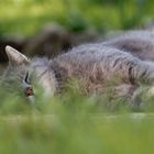 Offensichtlich war das Shooting zu lang