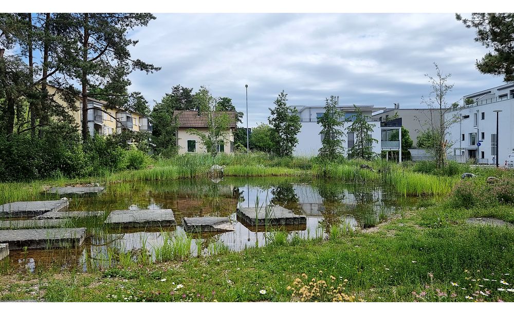 offizielle Einweihung Oberstufenzentrum Auen, '22.04