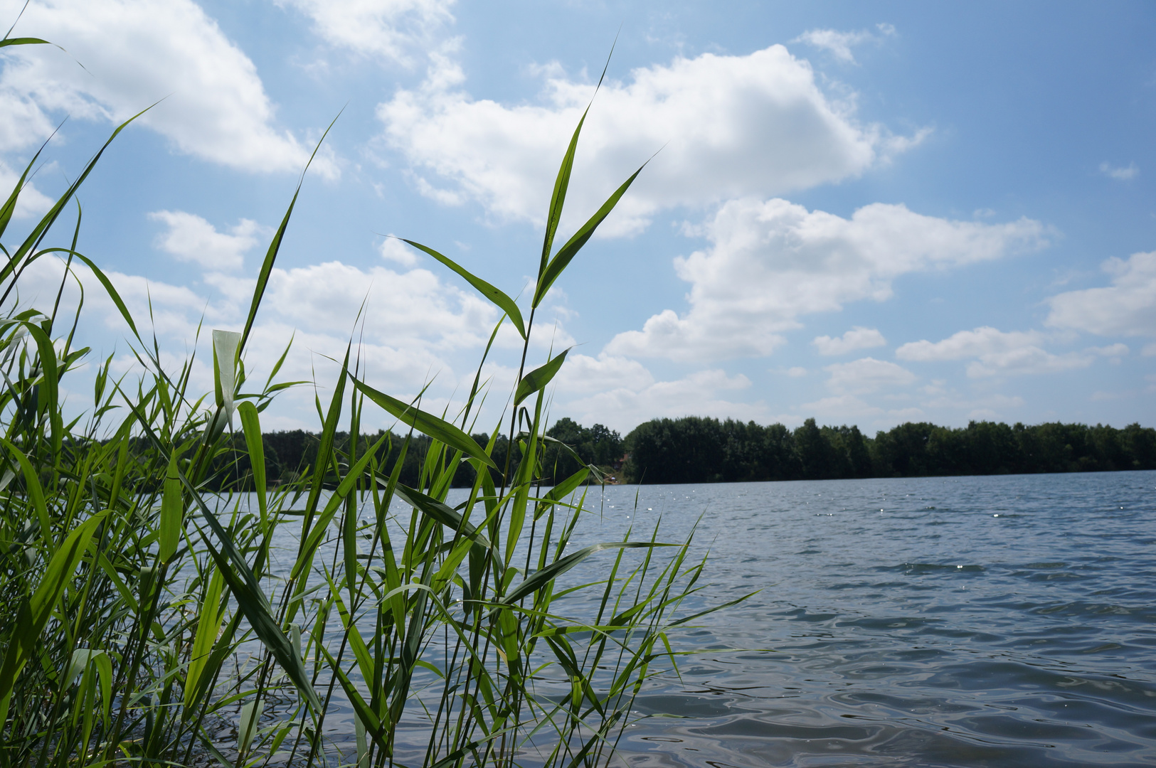 Offlumersee bei Rheine