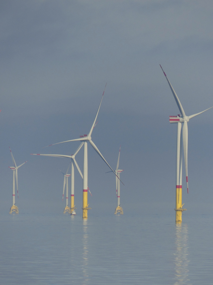 Offshore-Windpark im Morgendunst