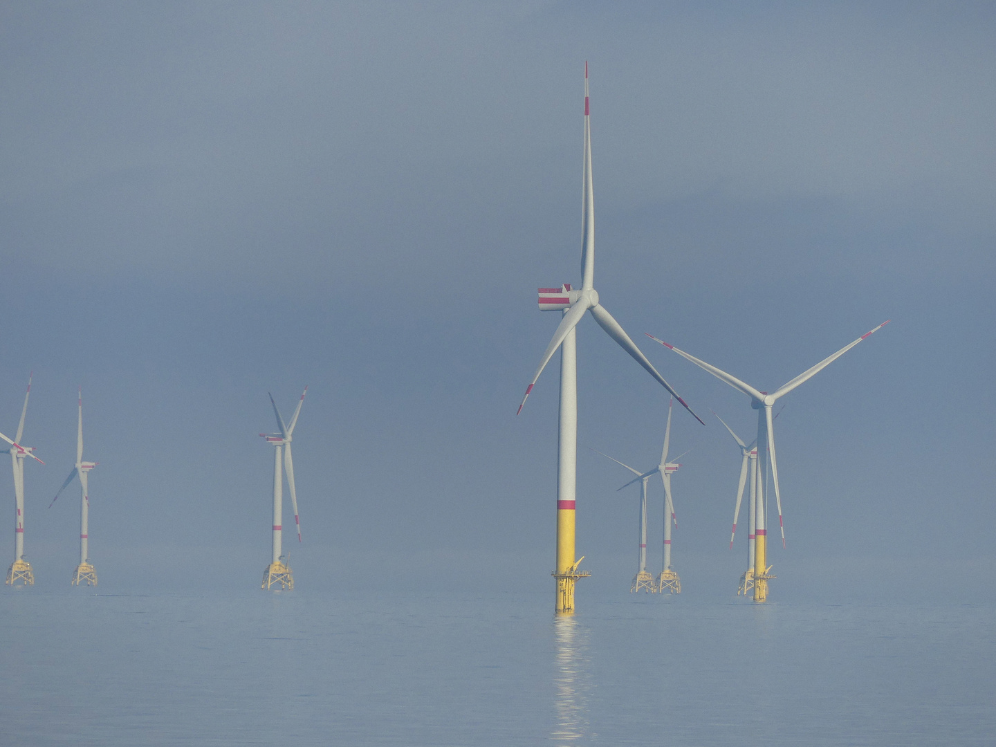 Offshore-Windpark im Morgendunst