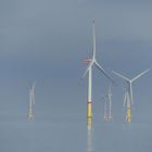 Offshore-Windpark im Morgendunst