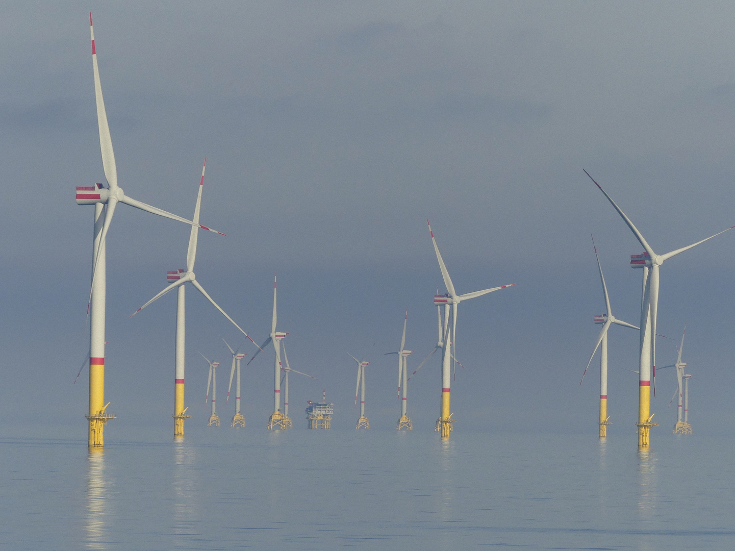 Offshore-Windpark im Morgendunst