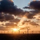 Offshore Windpark Sunset