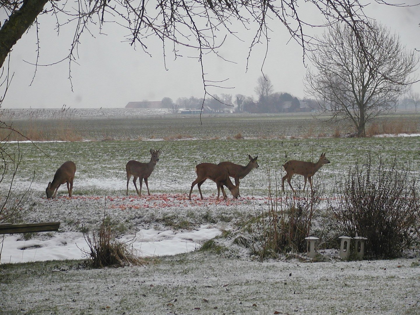 Offt mein Besuch