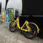 OFO Sharing Fahrräder