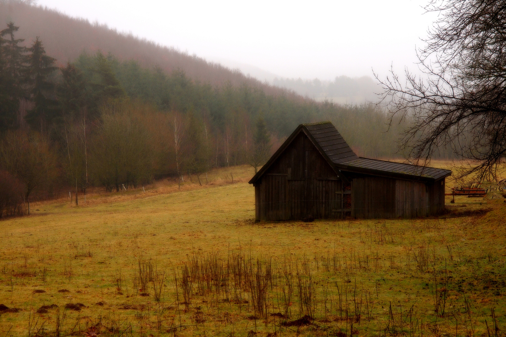 Oft nass, oft nebelig, aber immer schön. Das Sauerland