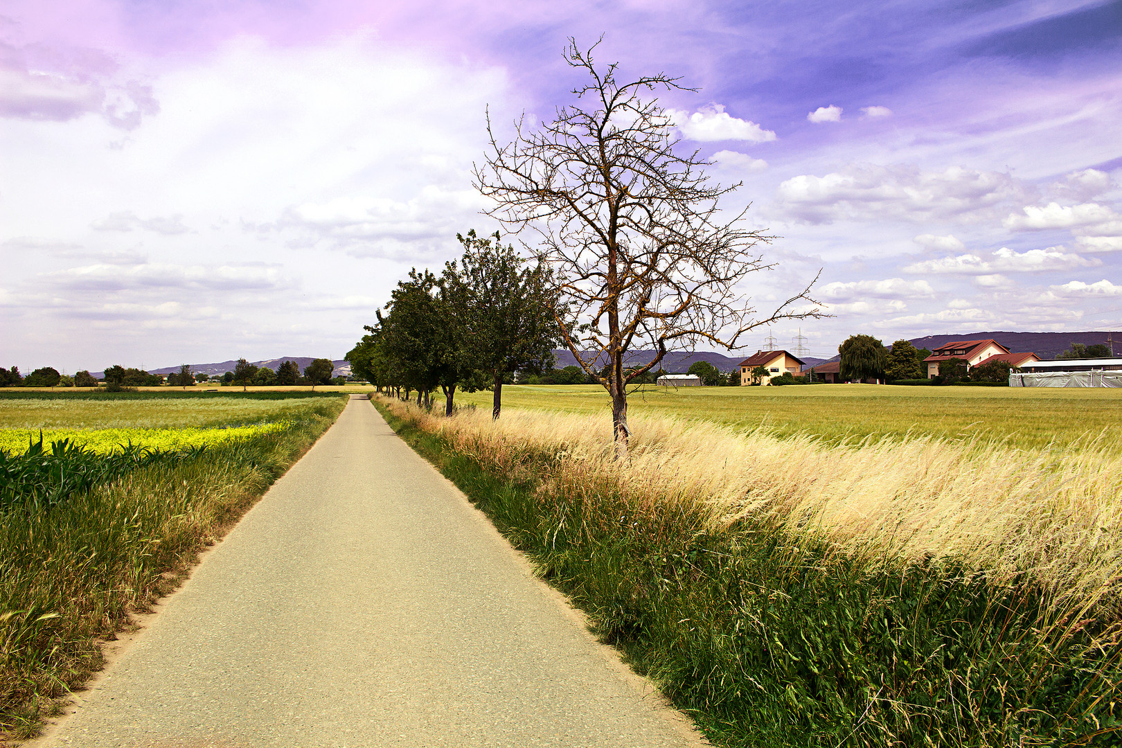 Oftersheimer Feldweg im Frühling