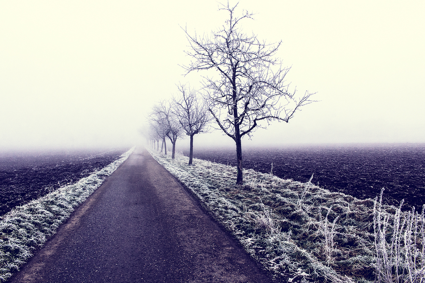 Oftersheimer Feldweg im Winter