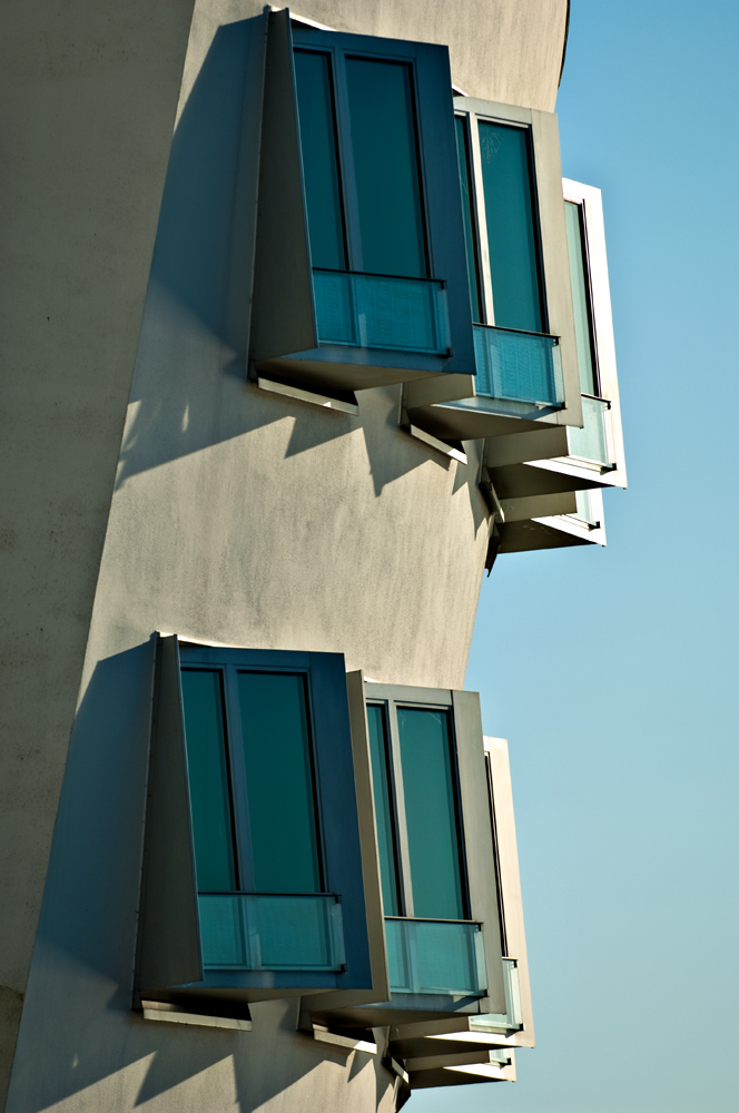 O.Gehry 4